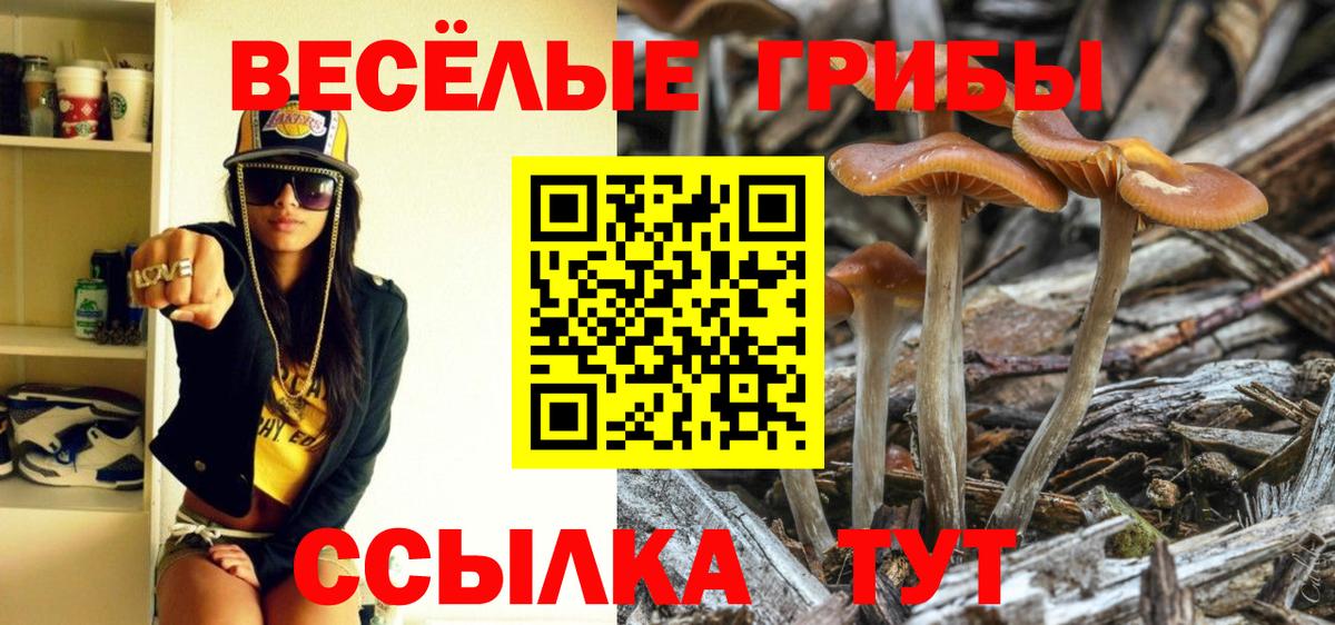 Химки  Канабис  Вход с VPN  Cocaine  ГАШИШ  Мефедрон  