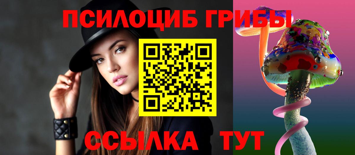 Химки  Галлюциногенные грибы прущие грибы  Галлюциногенные грибы мухоморы  Вход с VPN 